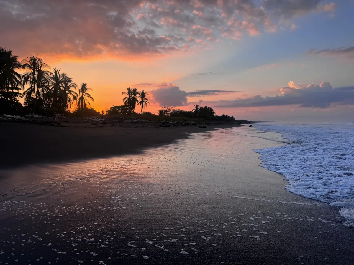 Pink and orange sunrise glowing behind palm trees on the Central Pacific coast