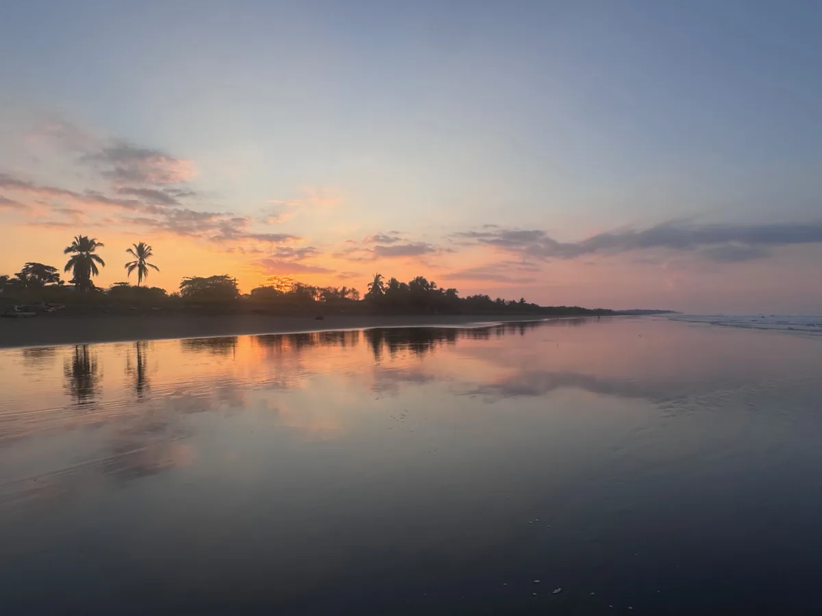 Pastel sunrise and palm silhouettes reflected on a quiet Costa Rica beach