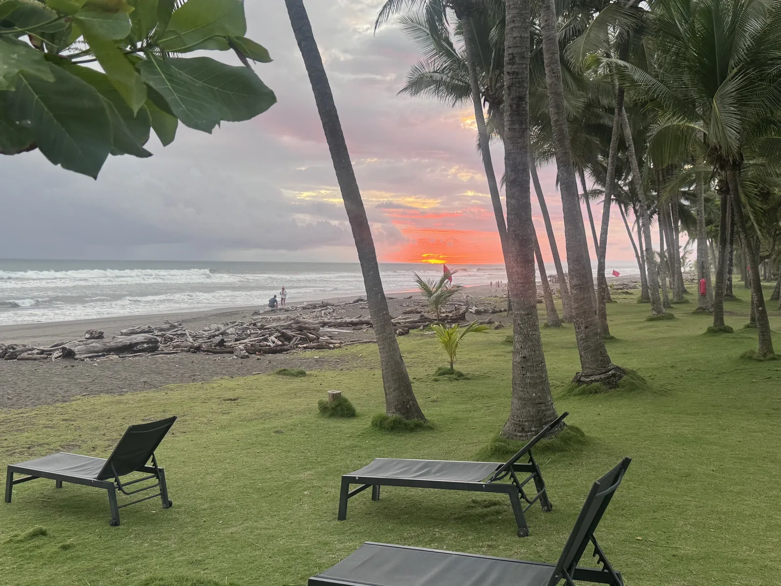 Sunset beyond the palms, lawn and oceanfront Beach Club at Hermosa Palms