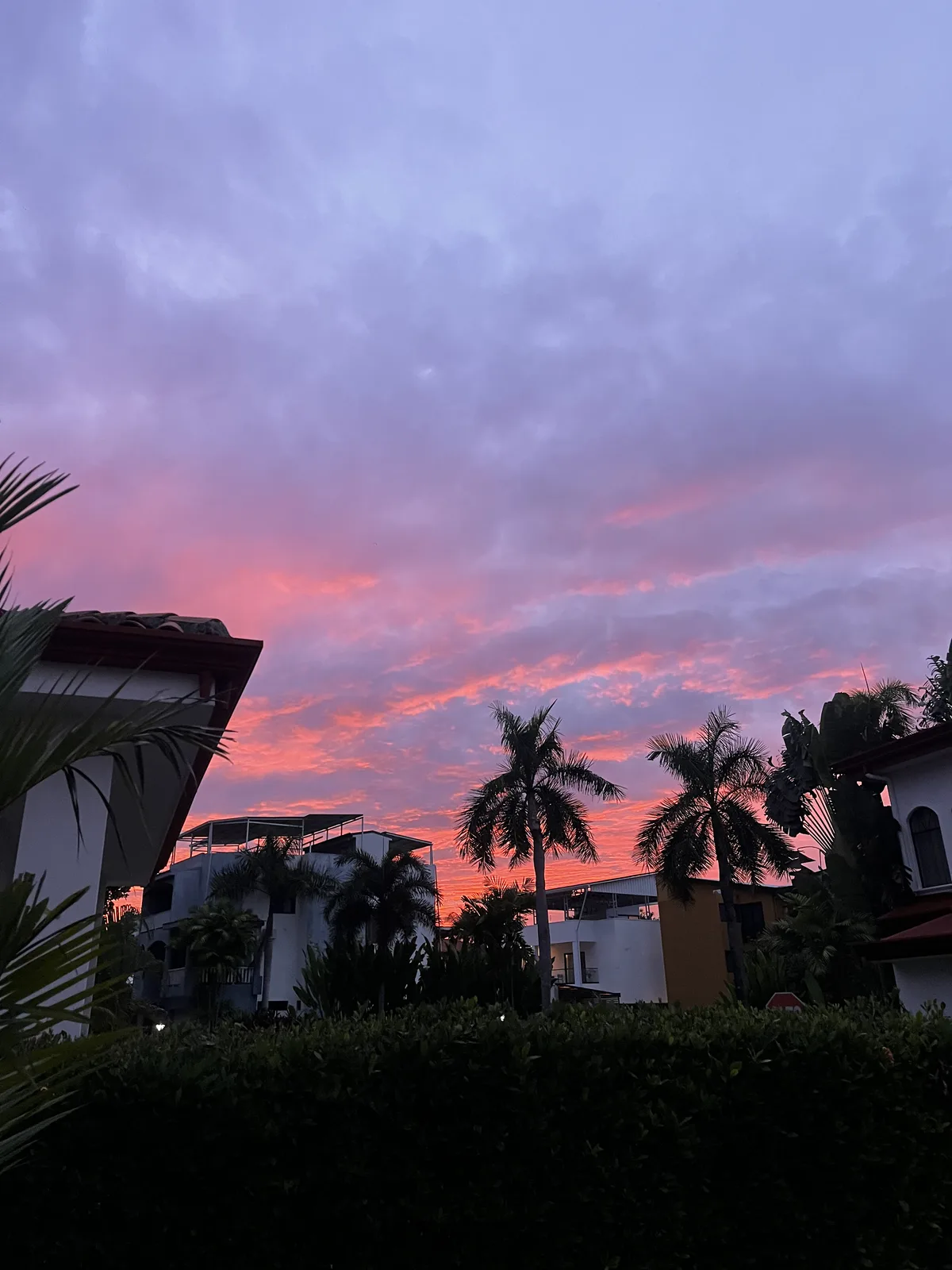 Pink and violet sunset clouds above the homes and palms of Hermosa Palms
